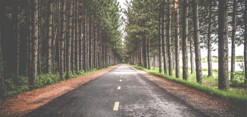 Publicación básica de la galería de imágenes